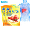 6Pcs Liver Care Patch Cleanse Detox Herbal Medical Liver Health Care Plaster Body Fatigue Relief Promote Digestion Patch